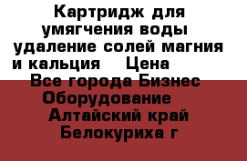Картридж для умягчения воды, удаление солей магния и кальция. › Цена ­ 1 200 - Все города Бизнес » Оборудование   . Алтайский край,Белокуриха г.